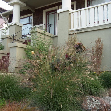 Urban Bungalow