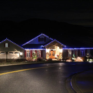 Professional Christmas Light Installation