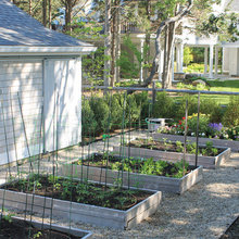Garden Beds