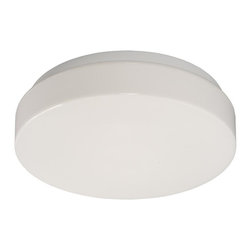 Filament Design - Filament Design Negron 1-Light White Fluorescent Flush Mount - Flush-mount Ceiling Lighting