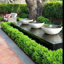 backyard improvements