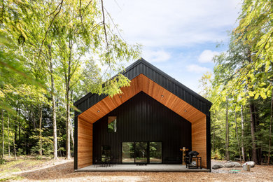 Inspiration for a mid-sized scandinavian black two-story metal and board and batten exterior home remodel in Other with a metal roof and a black roof