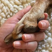 Jody Lesko's photo