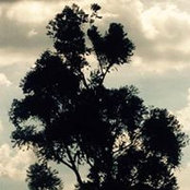 Nazeli Najar's photo