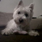 Elaine Regan's photo