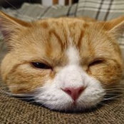 Hiroto Mori's photo