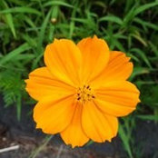 Tracy Smith's photo