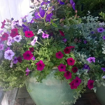 Seasonal flower containers and pots