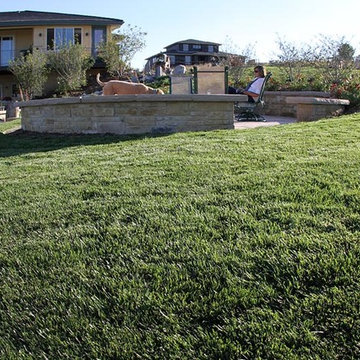 RTF® Water Saver Sod makes a dense, hardy lawn for Colorado.
