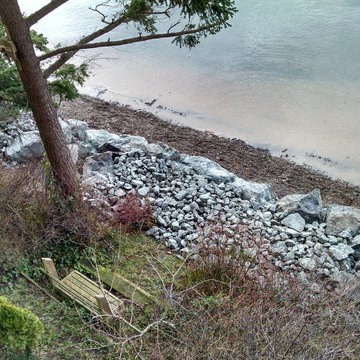 Samish Island Seawall