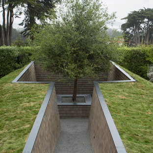 Stilmix Garten hinter dem Haus mit Kübelpflanzen in San Francisco