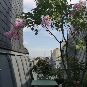 Floraison au printemps