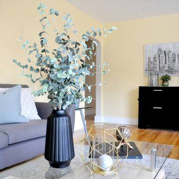 Alta Vista Property Showcasing