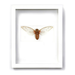 Wall Art - Products