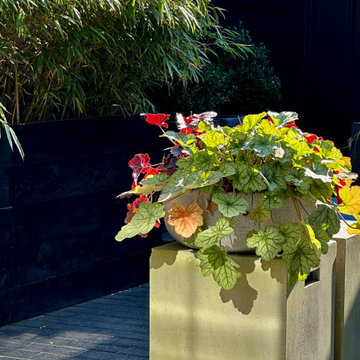 Davidson Courtyard Reimagined As An Immersive Experience