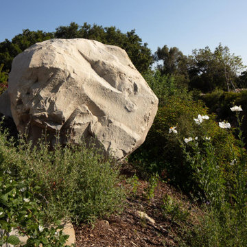 Montecito Phoenix rise from the ashes