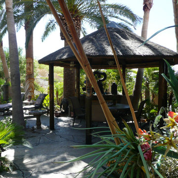 Palms