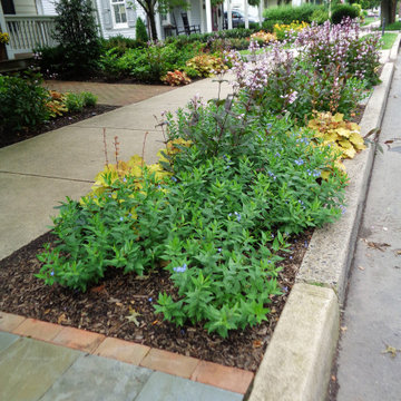 Curbside Garden