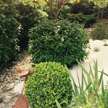 Rencontres au jardin