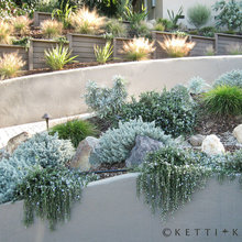 Drought tolerant slope