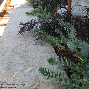 Euphorbia - A Colorful Variety Of Low-Water, Low-Maintenance Plants