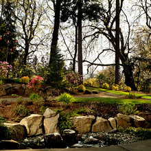 Landscape Ideas