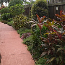 South Facing Side Yard