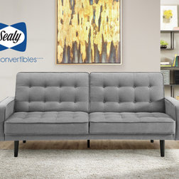 Midcentury Futons by Sealy Sofa Convertibles