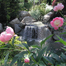 waterfalls