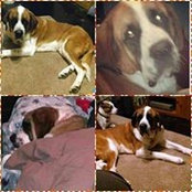 Stephanie Starnes's photo