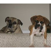 Susan Castner's photo