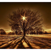 Joy Holman's photo