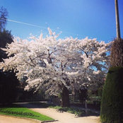 missy poppins's photo