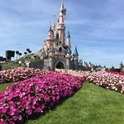 Lisha Wu's photo