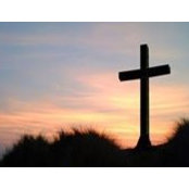 Melissa Delzeit's photo