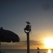 Donna Hershey's photo