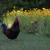 Lynette Nevins's photo