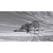Foto von John Googs
