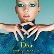 Foto von Dior Retail