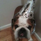 Alex Scherer's photo