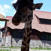 Jillian Schroeder's photo