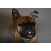 Phil Glatts's photo