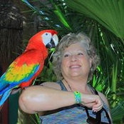 Susan Ness's photo