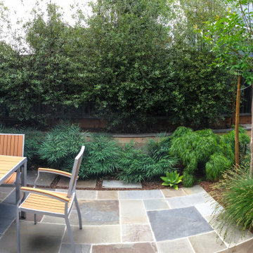 Wide eye view for backyard after installation