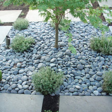 japanese garden