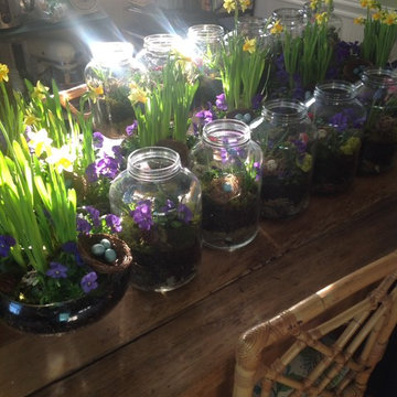 Fairy Gardens, Terrariums & Succulents