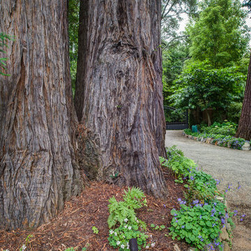 Mill Valley Historical Charmer