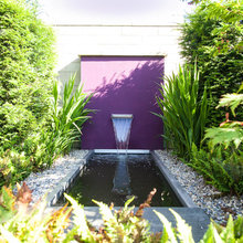 Kerry's garden