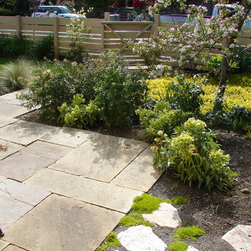 Northwest Contemporary Yard - Green Lake, Seattle