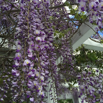 Gardens, Patios, Floral Bouquets